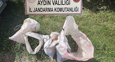 İğlek hırsızlarını jandarma yakaladı