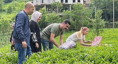 İkizdere Kaymakamı eşiyle çay topladı, fabrikada çayın işlenmesini inceledi