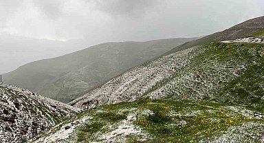 İliç'te sağanak ve dolu yağışı etkili oldu