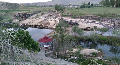 İnci kefalinin yaşamı tehlike altında