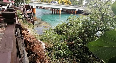 Irmak kenarındaki karacaağaç, şiddetli rüzgara direnemedi