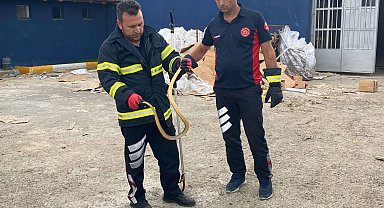 İş yerine giren yılanı itfaiye ekipleri çıkardı