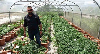 Islah çalışması yapılıyor, yüksek fiyatlara çözüm olacak