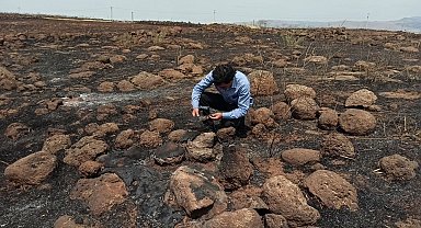 İslahiye'deki tarla yangını en büyük darbeyi çiftçiye vurdu