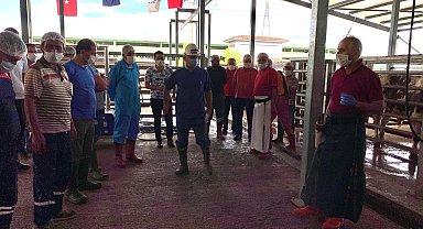 İslami usullere uygun kurban kesimi için eğitim veriliyor