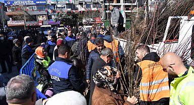 Isparta Belediyesi cuma günü 10 bin adet armut fidanını ücretsiz dağıtacak