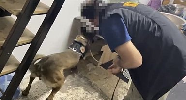 İzmir polisi zehir tacirlerine göz açtırmadı: 2 tutuklama