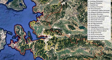 İzmir'de ormanlara giriş yasaklandı