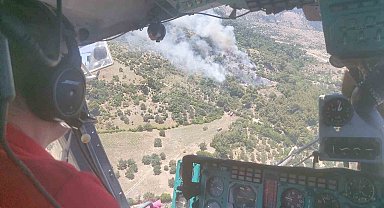 İzmir'deki orman yangınına havadan ve karadan müdahale
