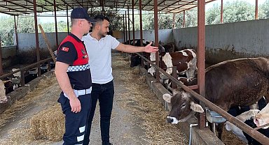 Jandarma ekipleri Kurban Bayramı öncesi uyardı