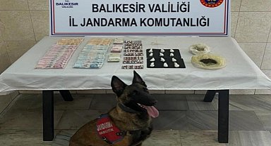 Jandarma narkotik köpeği Çömlek'ten kaçamadılar