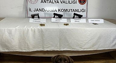 Jandarma narkotik köpeklerinden uyuşturucuya geçit yok