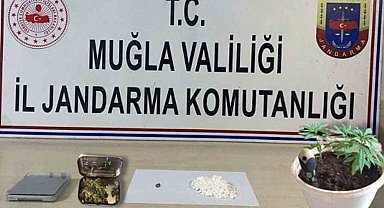 Jandarmadan Muğla genelinde uyuşturucu operasyonu