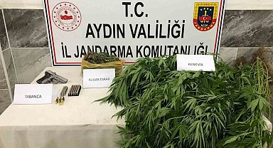 Jandarmadan uyuşturucu operasyonu: 1 gözaltı