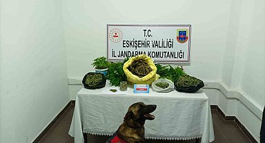 Jandarmadan uyuşturucu operasyonu