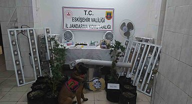 Jandarmanda Seyitgazi'de uyuşturucu operasyonu