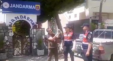 Jandarmanın bulduğu yaralı alaca baykuş yavrusuna koruma