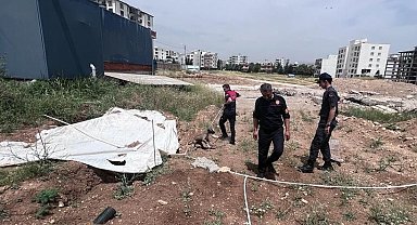 Jandarmanın dikkati yavru köpeği ölümden kurtardı