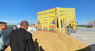 Karapınar'da arpa hasadına başlandı