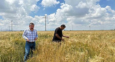 Karapınar'da yoğun yağış alan tarım alanları incelendi