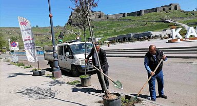 Kars'ta kuruyan ağaçlar değiştiriliyor