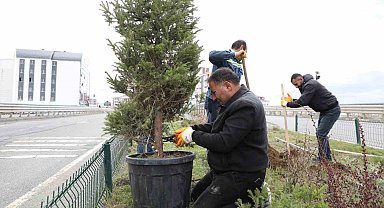 Kars'ta refüjler yeşilleniyor