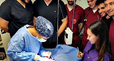 Kastamonu'da hayvan hastanesi, hizmet vermeye başladı