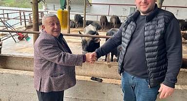 Kavak'ta kurban satışları hızlandı