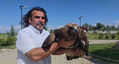 Kaya kartalı artık uçamayacak