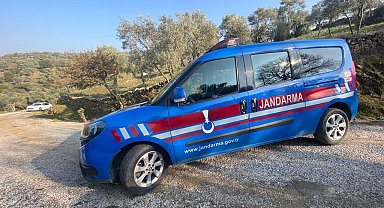 Kaybolan hayvanlar jandarma tarafından bulundu