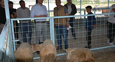 Kaymakam Okumuş'tan kurban pazarında inceleme