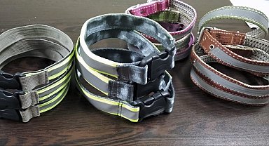 Kazaları önlemek için reflektörlü tasma diktiler