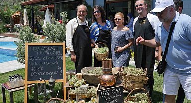 Kazdağları'nın kekikleri hasat edilmeye başlandı