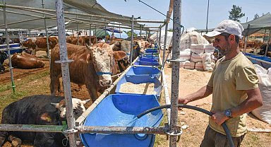 Kepez Kurban Bayramına hazır