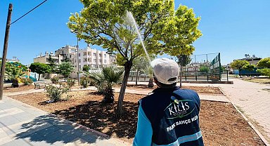 Kilis'te ilaçlama çalışmaları devam ediyor