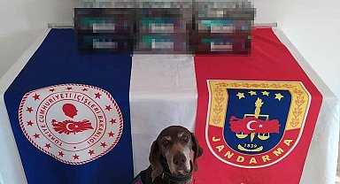 Kilis'te kaçak sigara operasyonu