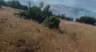 Kilis'te orman ve örtü yangını