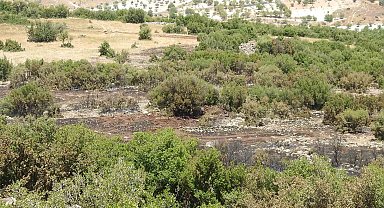 Kilis'teki orman yangınında 20 dönüm arazi kül oldu