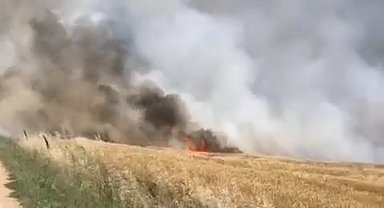 Kırklareli'de 90 dönümlük buğday tarlası küle döndü