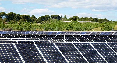 Kırklareli'nde 100 dönüm araziye Güneş Enerji Santrali Tesisi kurulacak