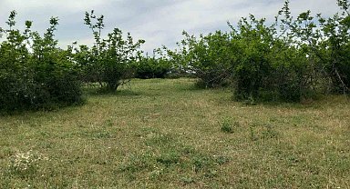 Kırklareli'ndeki dehşet olayla ilgili 2 şüpheli yakalandı