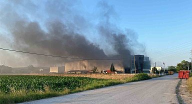 Kocaeli'de geri dönüşüm fabrikasında yangın: 3 kişi dumandan etkilendi