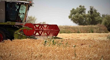 Konya Ovasında hasat sezonu yaklaşırken çiftçilere ürün satış uyarısı