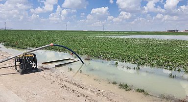 Konya'da suyla dolan tarlalardan su tahliye çalışması yapılıyor