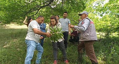 Köşk'te üreticiler Kestane Gal Arısı'na karşı bilgilendiriliyor