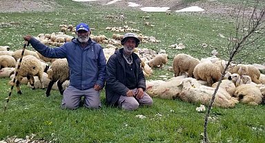 Koyun sürüleri İranlı çobanlara emanet