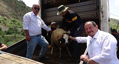 Köyüne dönmek isteyene koyun desteği