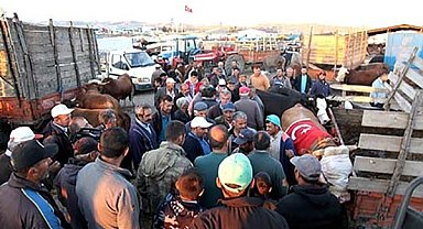 Kurban bayramı öncesinde hayvan pazarı tekrar açılacak