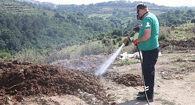 Kurban pazar yerleri ilaçlanıyor