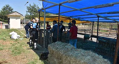 Kurban pazarında vatandaşlara dolandırıcılık uyarısı